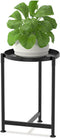 LASZOLA Metal Large Plant Stand for Indoor Plants, Morden Corner Plant Holder
