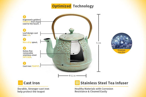TOPTIER Japanese Teapot with Stainless Steel Infuser - Cast Iron Tea Kettle for 32 Ounce (Light Green)