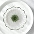 HARIO CDB-3012-W Tea Dripper Bouquet Server Set, 1-4 Cups, White