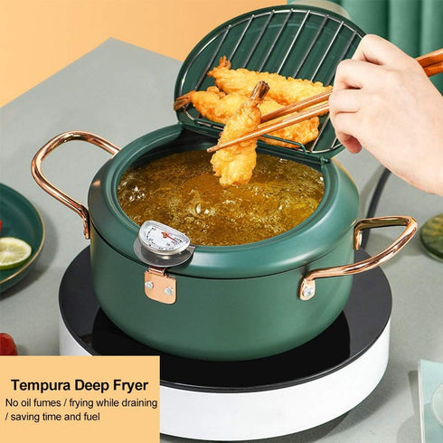 Tempura Frying Pan, 10 inch Deep Fryer Pot with Temperature Control, Carbon Steel Japanese Fryer for Kitchen Cooking