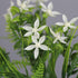 6Pcs Artificial UV Resistant Flowers, Outdoor Fake Plants for Hanging Planter, Garden, Cemetery, Kitchen Decor