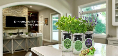 Set, Hydroponic Herb Growing Kit Self-Watering Mason Jar Herb Garden Starter Kit Indoor, Windowsill Herbs Garden. Grow