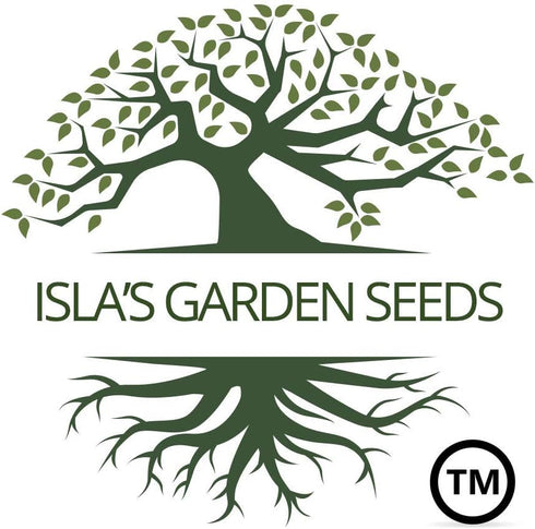 50+ Jade Bush Bean Seeds (Phaseolus vulgaris) Heirloom Non-GMO Seeds by Islas Garden Seeds, Slender Green Pods, Tender