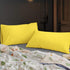 BEDSUM Microfiber Queen Pillowcases Set of 2 - Soft Wrinkle Resistant Pillow Cases with Envelope Closure, 20x30 inches,
