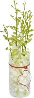 Floral Supply Online 9" Tall x 3.5" Wide Cylinder Glass Vase with Flower Guide Booklet for Weddings, Events, Home Decor