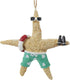 Kurt Adler Beach Style Tan Starfish Couple Decorative Holiday Christmas Tree Ornament Set (2 Pack)