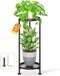 LASZOLA 2 Tier Black Plant Stand Indoor for Large Tall Heavy Duty
