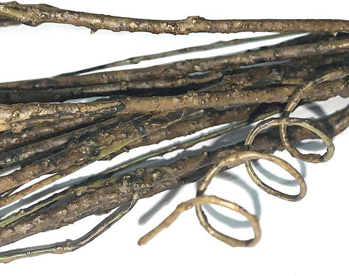 Pursuestar 5Pcs 29.5" Lifelike Dry Willow Branches - Bendable Iron Wires Artificial Floral Flower Stub Stem for DIY