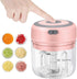 Electric Garlic Chopper, 250ML USB Food Chopper, Mini Vegetable Mincer for Garlic, Ginger, Chili, Vegetables