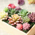 Augshy Artificial Succulents, 16 Pack Fake Plants for Decorative Garden Arrangement