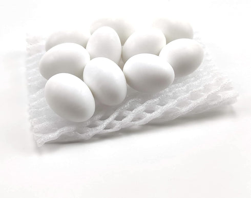 Azatemgo 10 Pieces Pigeon Eggs Solid Plastic Eggs for Hatching Help Limit Births Laying Pigeon Agricultural Tool