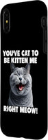 iPhone X/XS You've Cat to Be Kitten Me Right Meow Funny Lines Case
