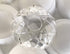 Asfour Crystal 1 4-Inch, 5 30% 5 38mm Piece - Clear Side Holes Asfour Lead Crystal Bobeches for Chandelier with U-Drops