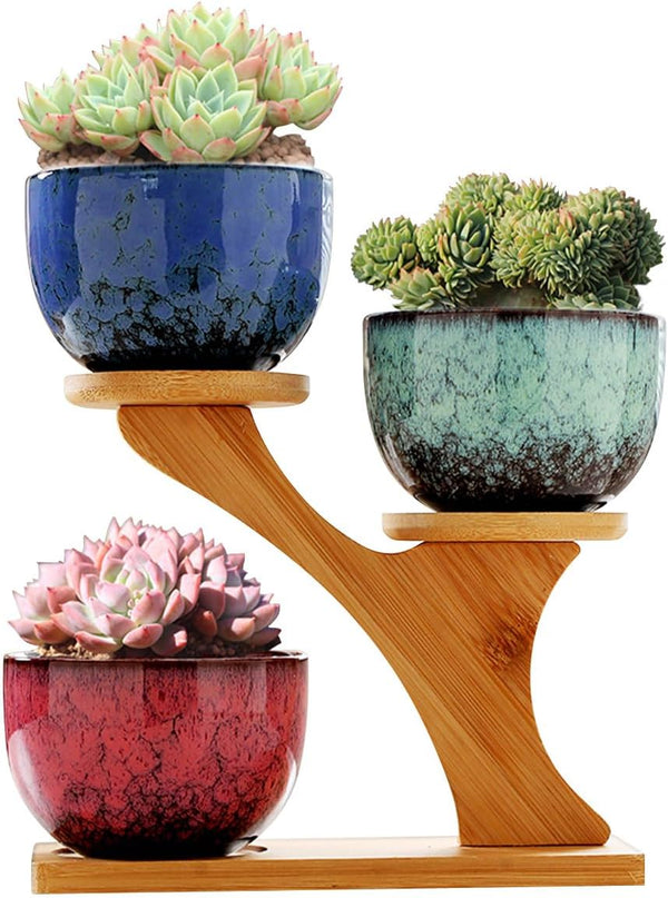 Succulent Pots with 3 Tier Bamboo Saucers Stand Holder Modern Decorative Ceramic
