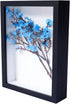 KAPIX Small Shadow Box 4x6 Picture Frame with HD Plexiglass, Deep Wood Memory Box for Keepsake Display (Black)