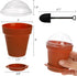 50 Pack 6.7 oz ZEAYEA Dessert Cups With Lids and Spoons, Plastic Parfait Appetizer Cups, Cute Mini Flowerpot for Ice
