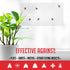 Window Fly Traps Indoor Clear (30 Pack) - Non-Toxic Sticky Fly Strips for Windows, Indoor Bug Sticky Traps