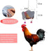 CHNB 8PCS Chicken Toys for Coop Accessories, Chicken Swing, Xylophone, Mirror, Vegetable Hanging Feeder, Fruit Rack