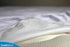 SureGuard Full Size Mattress Protector - 100% Waterproof, Hypoallergenic Premium Fitted Cotton Cover, Smooth