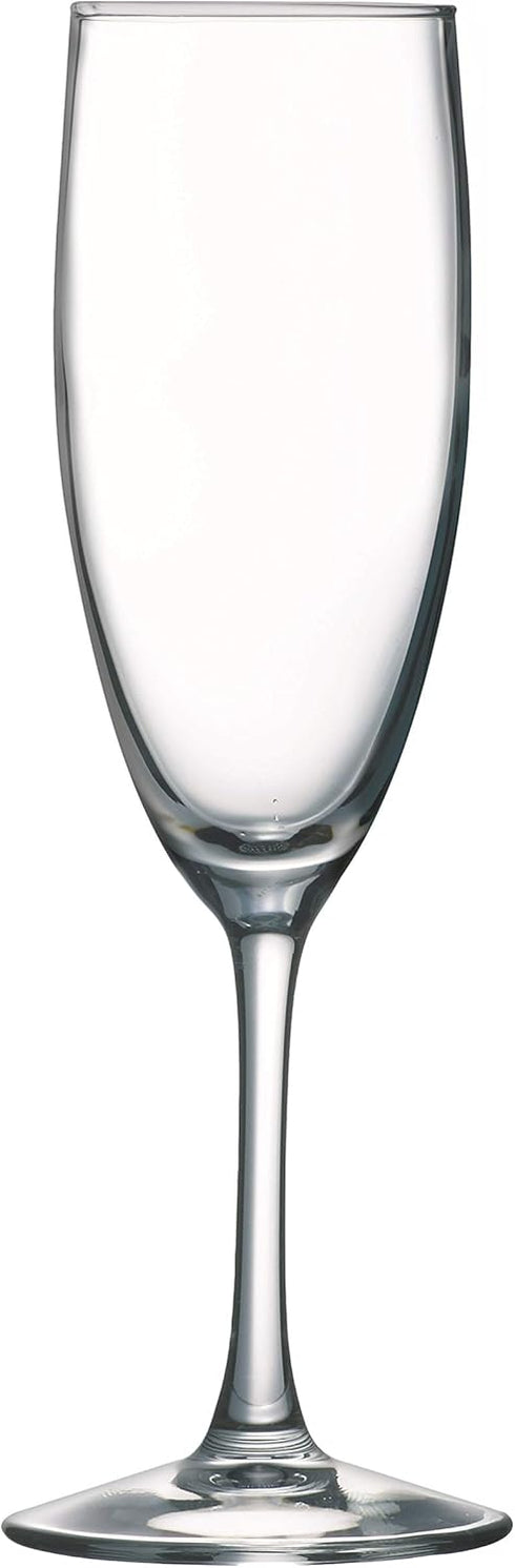 Arc Cardinal ArcoPrime Champagne Flute - 5.75 Ounce Set of 12, Clear