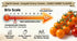 HipGirl 10ct Pods:10ct Sweet Orange Sun Gold Cherry Tomato Seeds for Planting.Non GMO Garden Seeds for Planting
