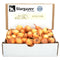 Yellow Onion Sets for Planting - 50-60 Non-GMO Stuttgarter Bulbs, 8oz, USA