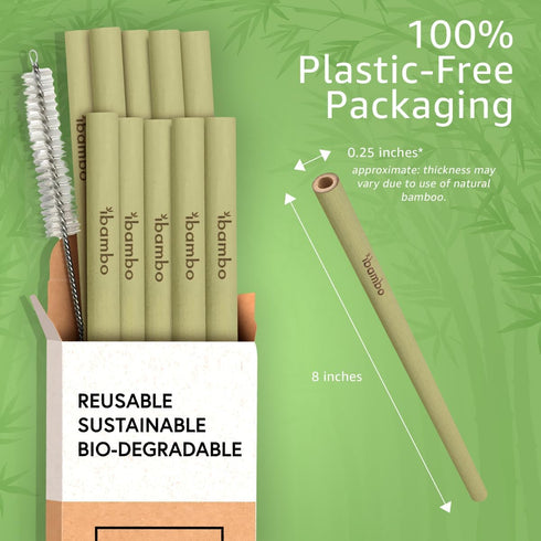 100% Bamboo Straws (10-Pack) - Biodegradable & Compostable 8 Inch Reusable Straws with Cleaner, Eco Friendly