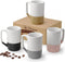 Large Ceramic Coffee Mug Set of 4, 16 oz Tea Cups with