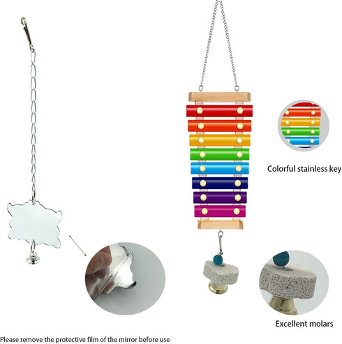KIEYYRYT 6 Packs Chicken Toys for Coop Accessries, Chicken Swing Toys for Chicken Hens, Chicken Xylophone Toys