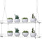 ZerzSemp 2-Tier Acrylic Window Display Shelves 16" Adjustable Clear Racks for Herbs, flowers