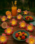 2 Pack 20 Summer, AceList Plumeria Flower String Lights, LEDs Each, Battery Operated, Hawaiian Foam Frangipani Garland