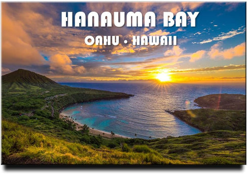 Hanauma Bay State Park Fridge Magnet, Oahu Hawaii Honolulu Refrigerator Door Photo Travel Souvenir