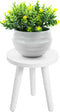 White Wooden Plant Stand Stool: Mid Century Modern Small Round Side Table, Heavy Duty Flower Pot Stand Holder