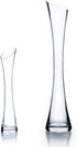 WGV Maria Bud Vase, 2" Width, 10" Height, Clear Slant Cut Opening Glass Floral Container for Decor