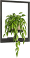 Bamworld Plant Stand Indoor Wall Decor Metal Plant Hanger Indoor Hanging Plant