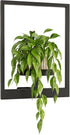 Bamworld Plant Stand Indoor Wall Decor Metal Plant Hanger Indoor Hanging Plant