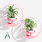 ALACOO Metal Hanging Plant Stand Indoor, Art Frame Wall Decor Plant Shelf for