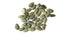 (2 Packs) Seed Needs Artichoke Seeds for Planting Green Globe Artichokes - Non-GMO Heirloom & Untreated - Grow an