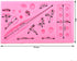 Medical Apparatus Tablet Silicone Mold for DIY Crystal Jelly Shots, Candy, Soap, and Fondant Decoration