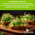 10 Pack Variety Microgreens Seeds - Broccoli, Sunflower, Pea, Salad Mix, Daikon Radish, Kale, Amaranth, Spicy Salad