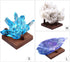 Walnut Crystal Display Stand, Three-Peg Easel for Fossil, Coral, Geodes, Rock, Mineral, Agate