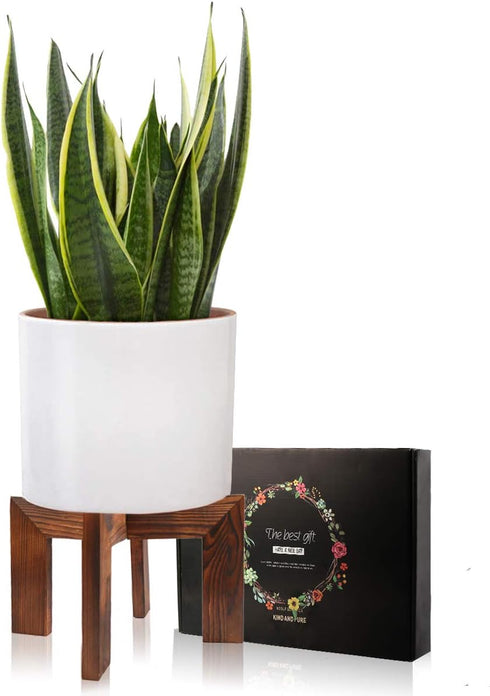 Wood Plant Stand, Mid Century Modern Planter, Rattan Flower Pot Stand, Low Short Plant Stands for Indoor - Boho Rustic Wooden Stool for Plant Pot Holder, Fit 5-15 Inch Pot