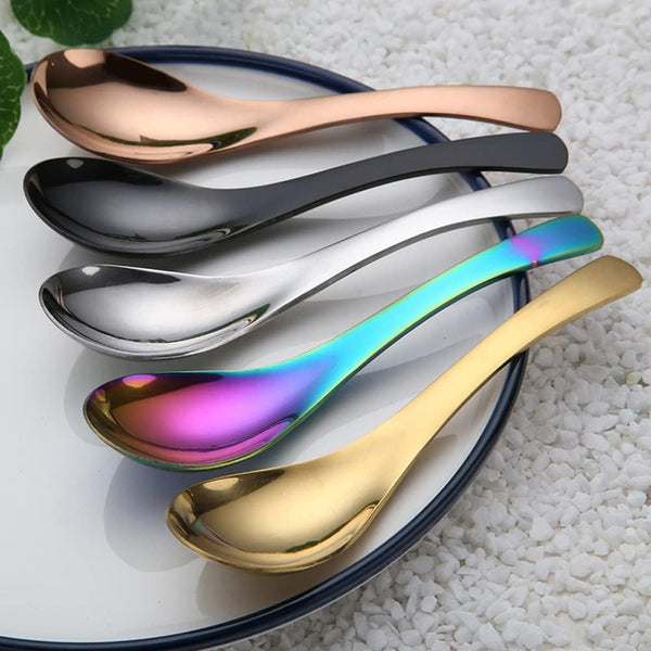 5 PCS Stainless Steel Soup Spoons, Mirror Finish Kitchen Serving Spoons for Soup Rice Tea Milk Dessert (Multicolor)