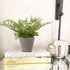 Briful 2PCS Faux Fern Eucalyptus Potted Plants, Artificial Greenery Décor for Indoor Home Office Bathroom