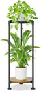 iDavosic.ly 2 Tier Corner Plant Stand Indoor, 30 Inch Tall Vertical Metal