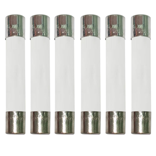 20 Amp Microwave Fuse XFFCSEC 20a Ceramic Fuse, 250V Slow-Blow Compatible Replacement for WB27X10388 (6 PCS)