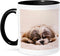 3dRose Ceramic Shih Tzu Sleeping Best Friend Mug, 1 Count (Pack of 1), Black