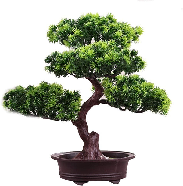 KOET Artificial Bonsai Pine Tree, 11 Inch Faux Potted Plant for Desk Display, Japanese Cedar Bonsai Plant for Home,