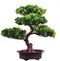 KOET Artificial Bonsai Pine Tree, 11 Inch Faux Potted Plant for Desk Display, Japanese Cedar Bonsai Plant for Home,
