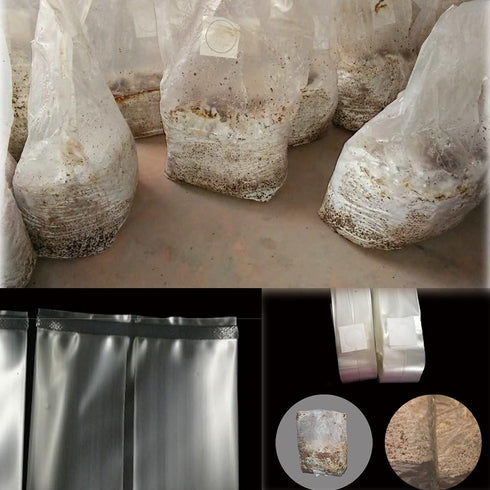 8" 5" 19",0.5 3 Mushroom Bags,Mushroom Grow Bag/Farm-Mushroom Spawn Bags/Sealable Spawn/Myco Bags,Large Size X X Micron